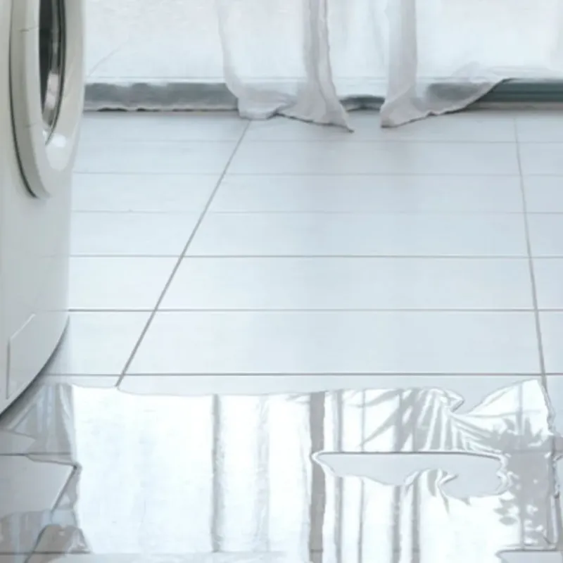 Appliance Leak Cleanup in Austell, GA