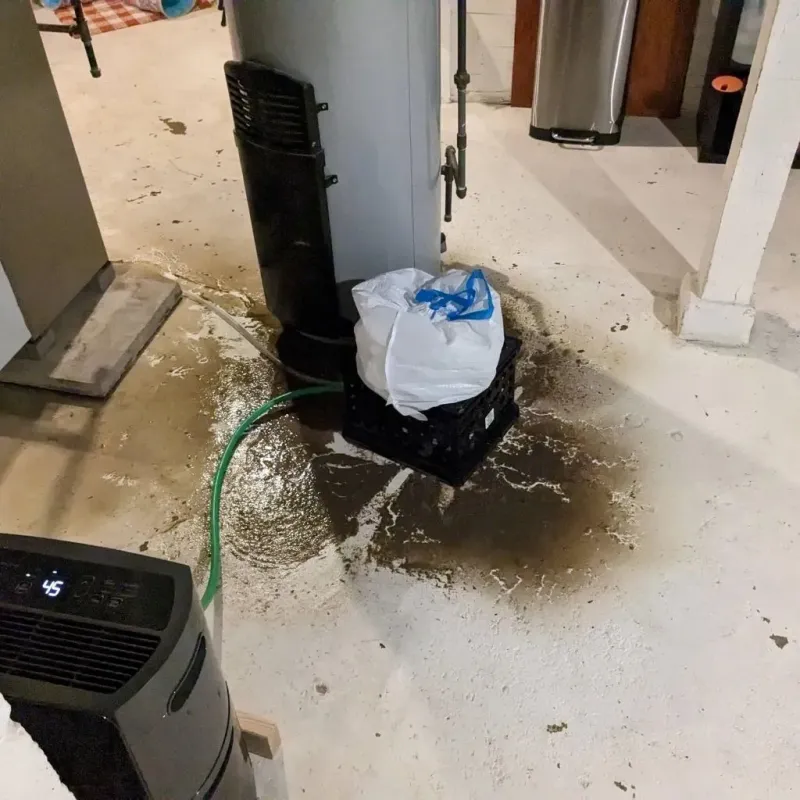Sewage Backup Cleanup Service in Austell, GA